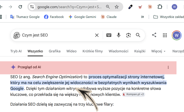 screen z ekranu co to jest AI overviews
